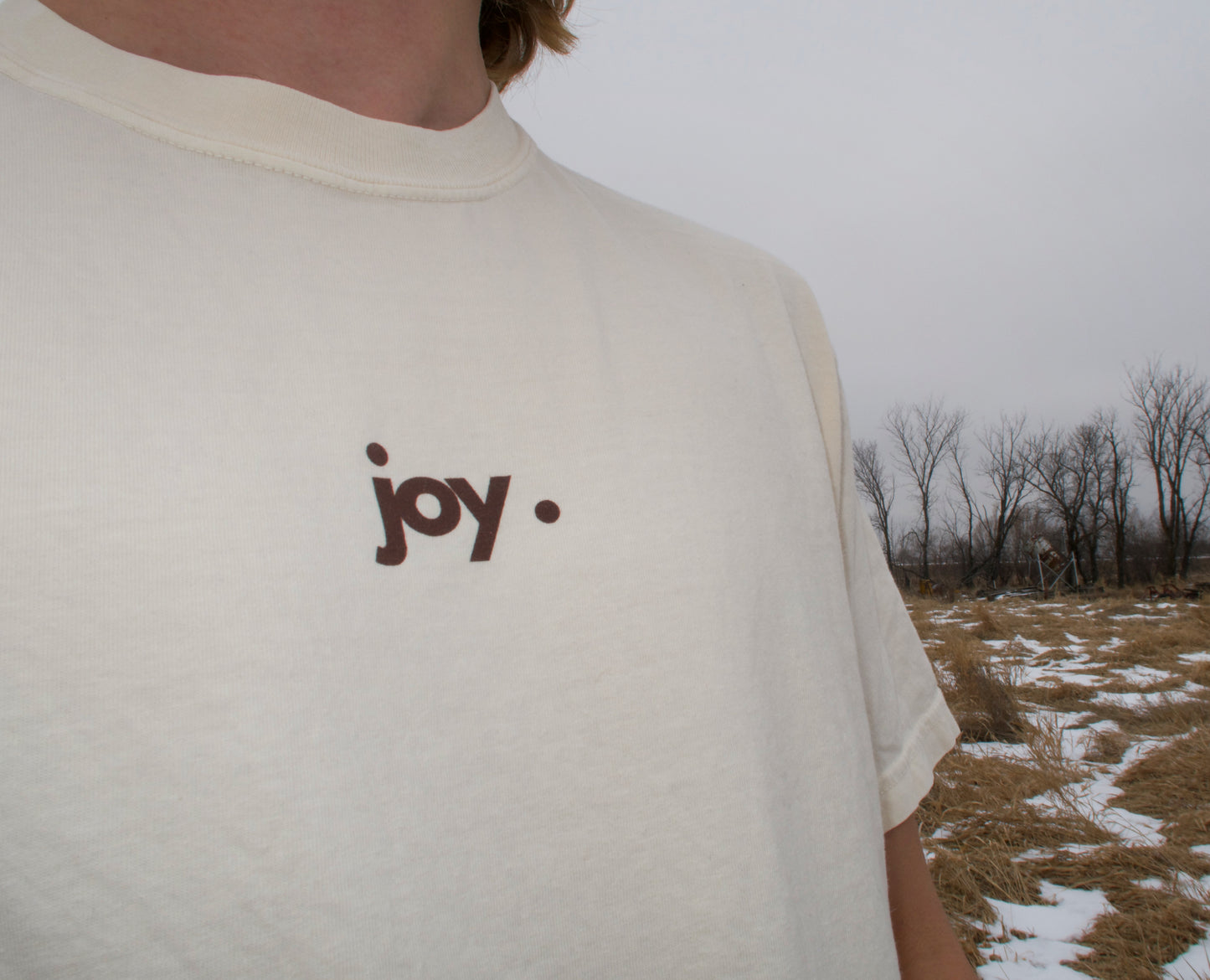 JOY DEFINED